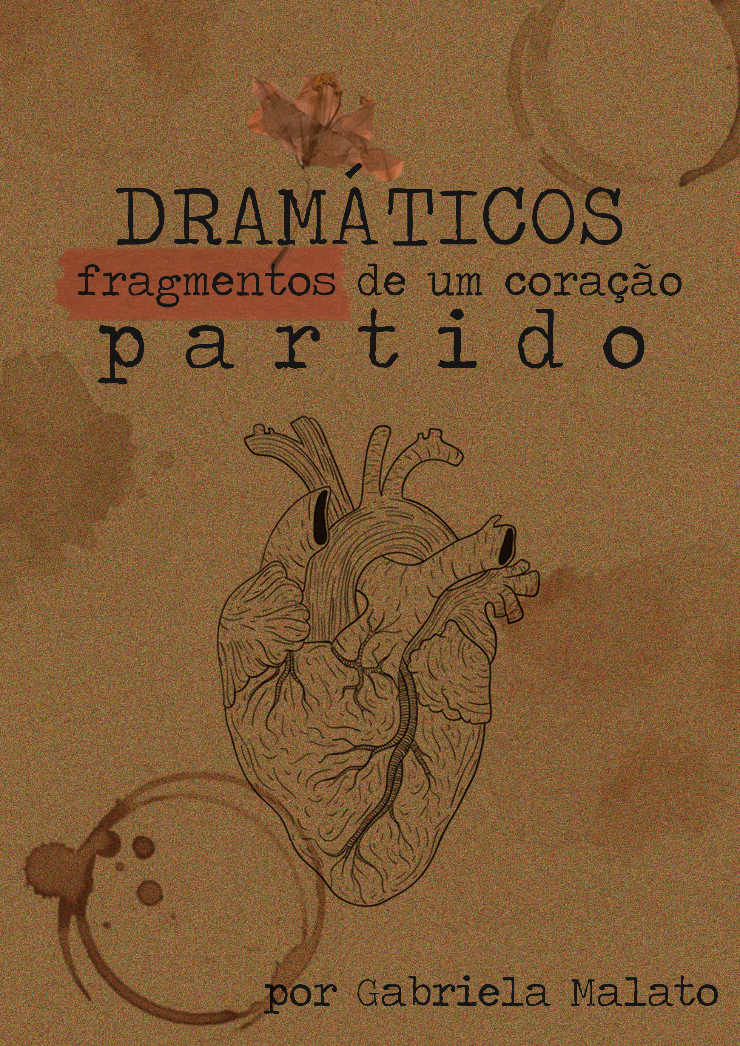 Capa Livro 1