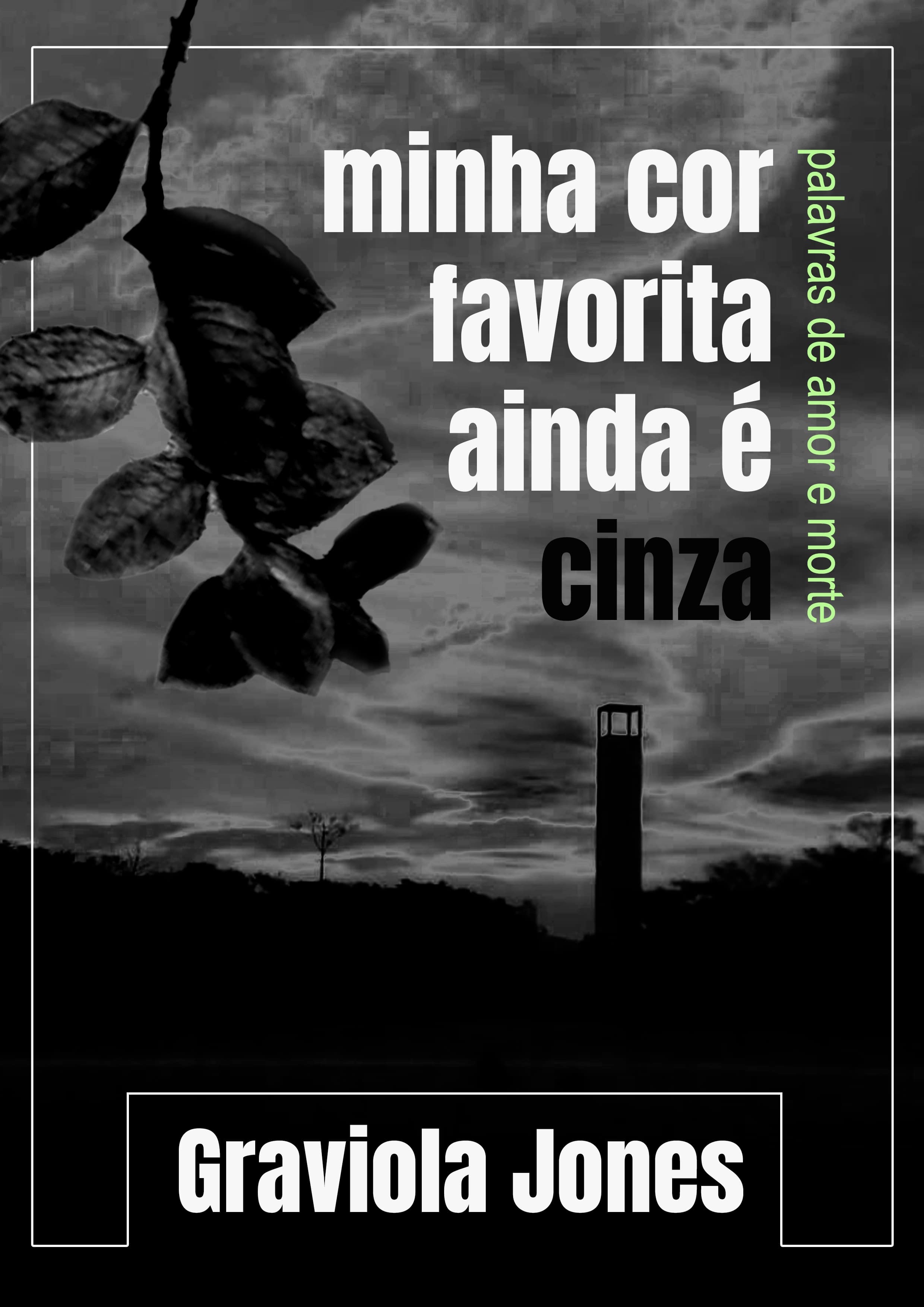 Capa Livro 2